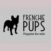 Frencchie pups for sale in USA